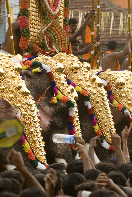 Thrissur Pooram is a magnificent festival of elephants