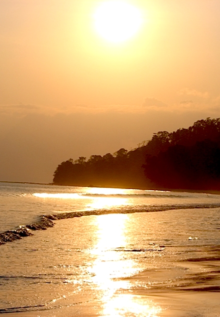 Varkala Beach is one of the best beaches in Kerala
